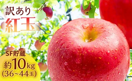 りんご 訳あり スマートフレッシュ 紅玉 約 10kg (36〜44玉) 青森県産 リンゴ サイキチ農園 青森県 鰺ヶ沢町産 フルーツ 果物 不揃い 傷 林檎