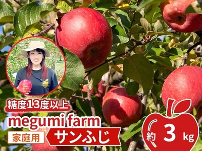 りんご [ 数量限定 ] 糖度13度以上 家庭用 サンふじ 約 3kg 糖度 青森 果物 くだもの フルーツ 青森県 鰺ヶ沢