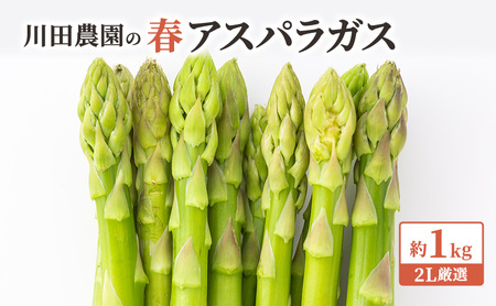 先行予約 岩木山高原 アスパラガス 約1kg 2L厳選 5月6月発送 アスパラ 野菜 旬の野菜 産地直送 季節の野菜 春野菜 青森 青森県 鰺ヶ沢町