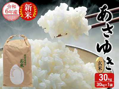 数量限定 新米 令和6年産 あさゆき 玄米 30kg 米 こめ お米 おこめ コメ ご飯 ごはん 令和6年 限定 H.GREENWORK 青森 青森県