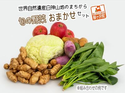 世界自然遺産白神山地のまちから〜旬の野菜おまかせセット〜