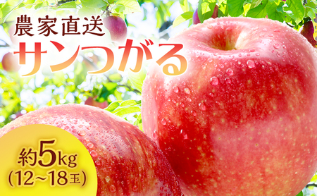 [クール便でお届け]りんご 青森 サンつがる 約 5kg (12〜18玉) リンゴ サイキチ農園 青森県 鰺ヶ沢町産 フルーツ 果物 贈答用 贈答 ギフト 白神山地 果物類 林檎