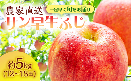 [クール便でお届け]りんご 青森 サン早生ふじ (弘前ふじ) 約5kg (12〜18玉) サイキチ農園 青森県 鰺ヶ沢町産 ふじ 早生ふじ サンふじ フルーツ 果物 贈答用 贈答 ギフト 白神山地 果物類