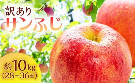  󂠂 X Tӂ  10kg (28`36) S TCL`_ X ˃򒬎Y t[c ʕ s  ь TtW ӂ