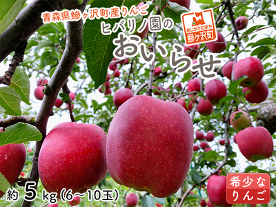 りんご 青森 おいらせ リンゴ 約 5kg (6～10玉) 青森県 鰺ヶ沢町産 ヒバリノ園 フルーツ 果物 果物類 白神山地 林檎 ※オンライン決済のみ 