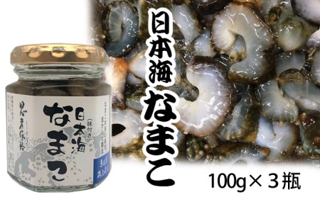 なまこ 味付き 3本 セット 珍味 日本海 おつまみセット おつまみ ごはんのお供 ご飯のお供 加工食品 海産物 ナマコ 海鮮 魚介類 魚介 ※ご入金確認後 3ヶ月以内の発送になります。