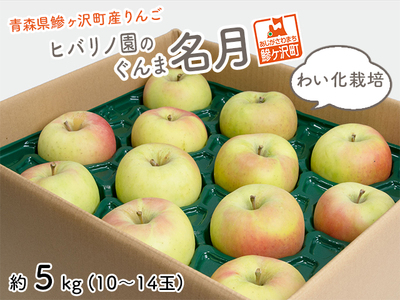 りんご 青森 ぐんま名月 わい化栽培 リンゴ 約 5kg (10〜14玉) 青森県 鰺ヶ沢町産 ヒバリノ園 フルーツ 果物 果物類 白神山地 林檎 ※オンライン決済のみ
