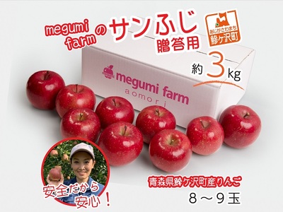 りんご 青森 贈答用 サンふじ リンゴ 約 3kg (8〜9玉) 青森県 鰺ヶ沢町産 megumi farm フルーツ 果物 果物類 贈答 ギフト 白神山地 林檎 サンフジ ふじ 2024