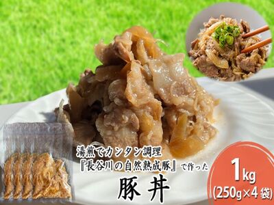 豚丼　1kg（250g×4袋）【湯煎でカンタン調理『長谷川の自然熟成豚』で作った豚丼】肉