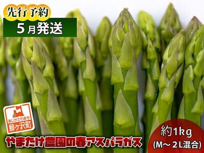 ふるさと納税の返礼品 アスパラガス 茄子の人気ランキング ふるさと納税バイブル