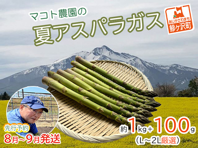 アスパラガス 先行予約 夏アスパラガス 約1kg+100g L〜2L 厳選 マコト農園 アスパラ グリーンアスパラ 野菜 夏 旬 旬の野菜 産地直送 2025年 2025 先行 予約 青森 冷蔵 冷蔵配送 8月〜9月発送