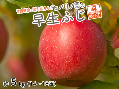 りんご 青森 早生ふじ 涼香の季節 リンゴ 約 5kg (14〜18玉) 青森県 鰺ヶ沢町産 ヒバリノ園 フルーツ 果物 白神山地 林檎 ※オンライン決済のみ
