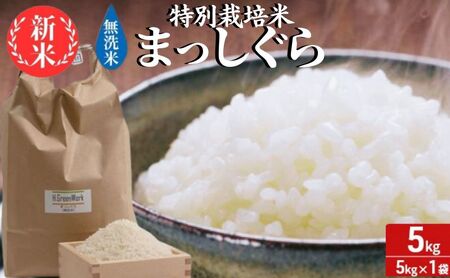 青森県鰺ヶ沢町[令和6年産・新米]特別栽培米 まっしぐら 無洗米 5kg