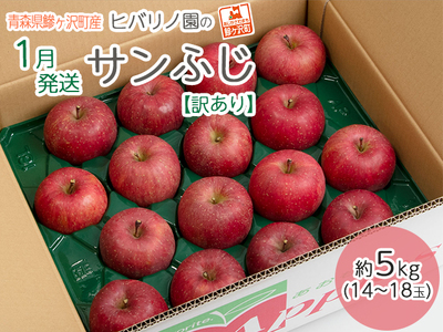 【 1月発送 】 訳あり ヒバリノ園 サンふじ 約 5kg （14～18玉）青森県鰺ヶ沢町産 りんご 果物 フルーツ デザート シャキシャキ ※オンライン決済のみ 