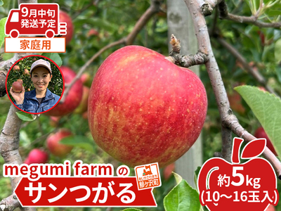 【9月中旬クール便発送】青森県鰺ヶ沢町産りんご 糖度12度以上 megumi farmのサンつがる 家庭用 約5kg（10～16玉入） 果物類 フルーツ 産地直送 安全 安心 