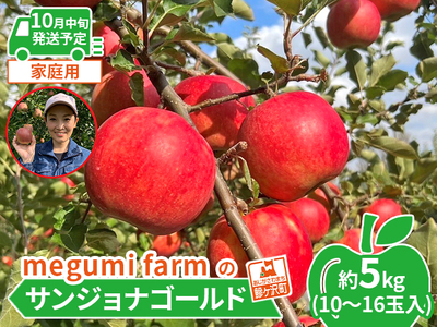 [10月中旬クール便発送]青森県鰺ヶ沢町産りんご megumi farmのサンジョナゴールド 家庭用 約5kg(10〜16玉入)