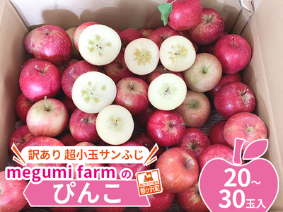 青森県鰺ヶ沢町産りんご megumi farmのぴんこ[訳あり 超小玉サンふじ](20〜30玉入)