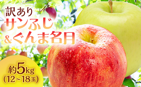 [訳あり]サイキチ農園のサンふじ・ぐんま名月セット 約5kg(12〜18玉) 青森県鰺ヶ沢町産りんご 果物 フルーツ 果汁たっぷり りんご食べ比べ