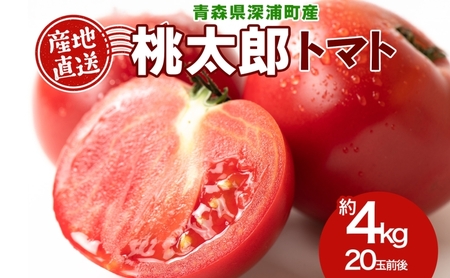 青森県産 桃太郎 トマト 約4kg 20玉前後 7月中旬〜11月中旬頃お届け 大玉 tomato 新鮮 野菜 旬 甘い 完熟 ジュース 産地直送 農家直送 お取り寄せ 常温 永谷農園 青森県 深浦町