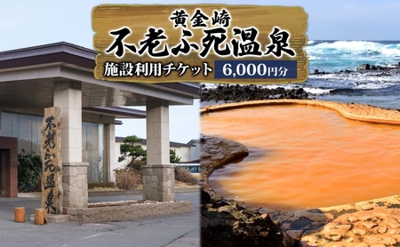 {ݗp`Pbg sVӎŎg闘p 6,000~ ̓  h s ό gx  X _Rn IVC a I[Vr[ {C [z h n  