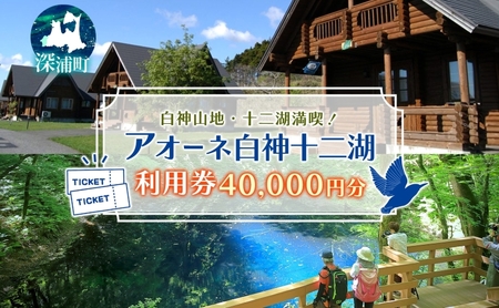 AI[l_{݂Ŏg闘p 40,000~ \ gbLǑ X RY _Rn r Xї Re[W h s ̌ h gbLO H  R lG bNX