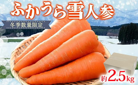 ふかうら雪人参2.5kg(規格外品)雪人参 人参 にんじん ニンジン 野菜 やさい 青森県 深浦町