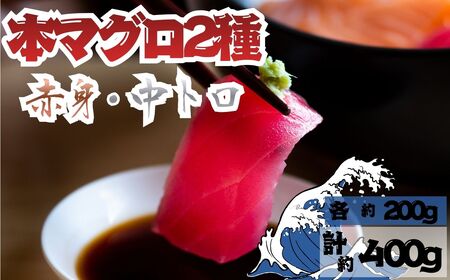 [出荷時期:7月上旬〜]本マグロ 赤身 中トロ 各1柵 セット 国産 本鮪[fu-0027-002]