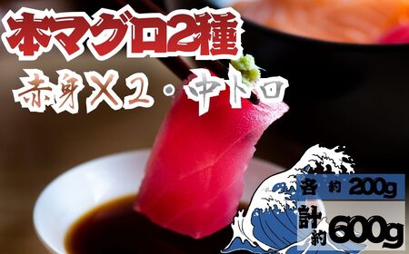 [出荷時期:7月上旬〜]本マグロ 赤身 2柵 中トロ 1柵 セット[fu-0027-003]