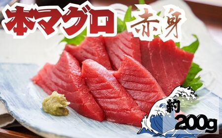 本マグロ 赤身 1柵 国産 本鮪[fu-0027-004]