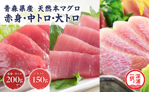 天然 本マグロ 赤身 中トロ 大トロ 3種セット 国産 本鮪 [fu-0012-002]