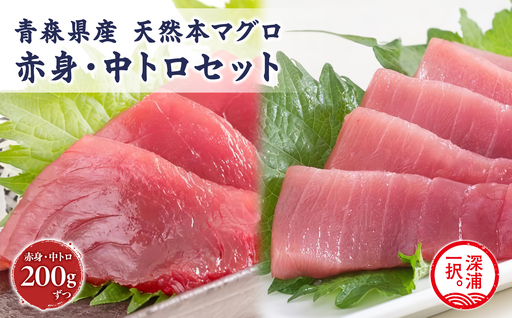 天然 本マグロ 赤身 中トロ 2種セット 国産 本鮪 [fu-0012-006]