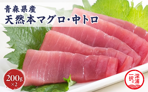 天然 本マグロ 中トロ 計400g 国産 本鮪 [fu-0012-008]