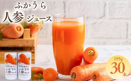 ふかうら 人参 ジュース 195g 30本 [fu-0009-001]