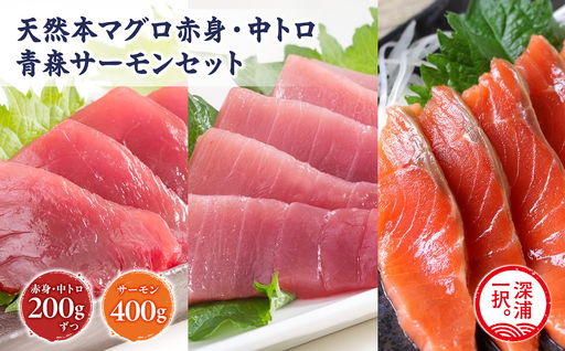 青森サーモン&天然 本マグロ 赤身 中トロ セット 計800g 国産 青森 サーモン 本鮪[fu-0012-007]