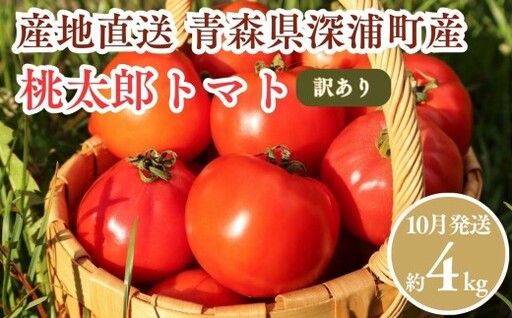[10月発送]訳あり 青森県産 桃太郎 トマト 約4kg 大玉 tomato 新鮮 野菜 旬 甘い 完熟 ジュース 産地直送 農家直送 お取り寄せ [fu-0022-003-10]