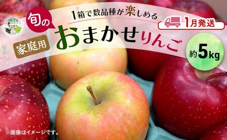 りんご [ 1月発送 ] 家庭用 旬のりんご 品種おまかせ 約 5kg 2品種〜4品種