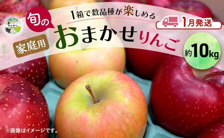 りんご [ 1月発送 ] 家庭用 旬のりんご 品種おまかせ 約 10kg 2種類〜4種類