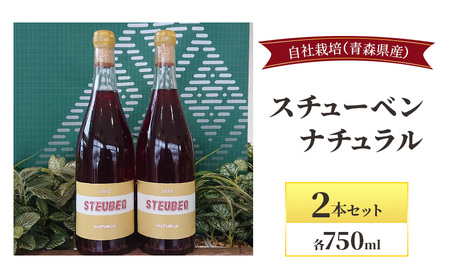 スチューベンナチュラル 750ml×2本セット お酒 ワイン 赤ワイン 青森県産 スチューベン 無濾過・無添加
