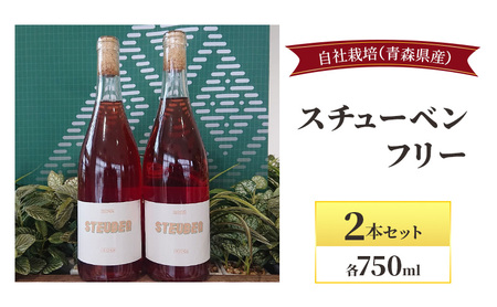 スチューベンフリー 750ml×2本セット お酒 ワイン 赤ワイン 青森県産 スチューベン 無濾過・無添加
