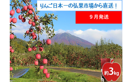 [9月発送]家庭用 つがる 約3kg[西目屋村産・青森りんご] りんご 林檎 リンゴ 果物 フルーツ くだもの 旬 青森県産 お取り寄せ 詰め合わせ セット 常温 産地直送 送料無料 青森県 西目屋村