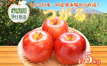[9月発送]家庭用 つがる 約5kg リンゴ 林檎 りんご 皮ごと 甘い 酸味 シャキシャキ デザート フルーツ 果物 お取り寄せ 産地直送 旬 季節限定 弘果物流 青森県 西目屋村