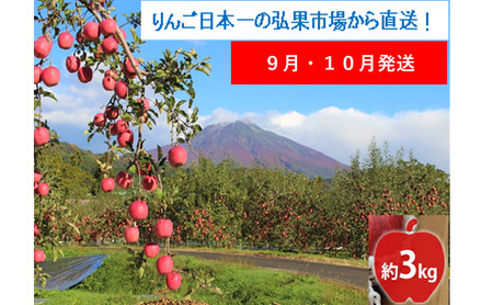 [9月・10月発送]贈答用 早生ふじ 約3kg[西目屋村産・青森りんご] りんご 林檎 リンゴ 果物 フルーツ くだもの 旬 青森県産 お取り寄せ 詰め合わせ セット 常温 産地直送 送料無料 青森県 西目屋村