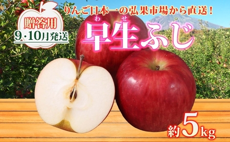 りんご 【9月・10月発送】贈答用 早生ふじ 約5kg　リンゴ 林檎 青森りんご 糖度 13度 甘い 酸味 デザート フルーツ 果物 お取り寄せ 産地直送 旬 季節限定 弘果物流 青森県 西目屋村 西目屋村産