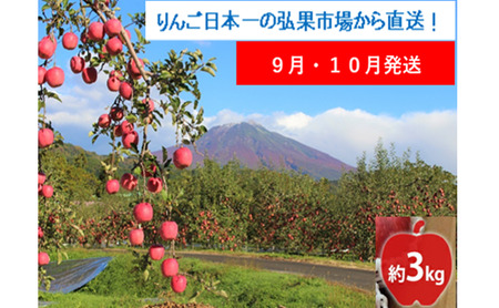 [9月・10月発送]家庭用 早生ふじ 約3kg[西目屋村産・青森りんご] りんご 林檎 リンゴ 果物 フルーツ くだもの 旬 青森県産 お取り寄せ 詰め合わせ セット 常温 産地直送 送料無料 青森県 西目屋村