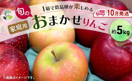 [10月発送] 家庭用 旬のりんご 品種おまかせ 約 5kg 2品種〜4品種 りんご リンゴ 林檎 アップル おまかせ ランダム 旬 青森県産 青森県 西目屋村