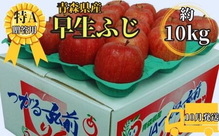 早生ふじ約10kg贈答用[特A](10月発送)青森県産 果物 りんご 青森りんご 旬のフルーツ 産地直送