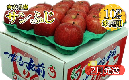 サンふじ約10kg 家庭用(2月発送)青森県産 果物 りんご 青森りんご 旬のフルーツ 産地直送