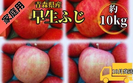 早生ふじ約10kg 家庭用青森県産(10月発送) 果物 りんご 青森りんご 旬のフルーツ 産地直送