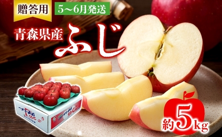 贈答用 ふじ 5kg ふじりんご りんご リンゴ 林檎 果物 フルーツ くだもの お取り寄せ 贈り物 プレゼント 産地直送 有袋栽培 送料無料 青森県 西目屋村 お届け：5月下旬から随時お届け