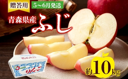 p ӂ 10kg ӂ  S X ь ʕ t[c   蕨 v[g Yn L܍͔|  X ډ ͂F5{琏͂